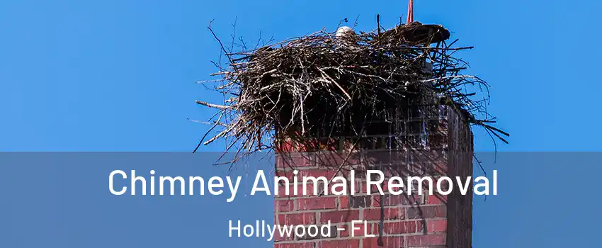 Chimney Animal Removal Hollywood - FL