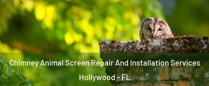  Chimney Animal Screen Repair And Installation Services Hollywood - FL