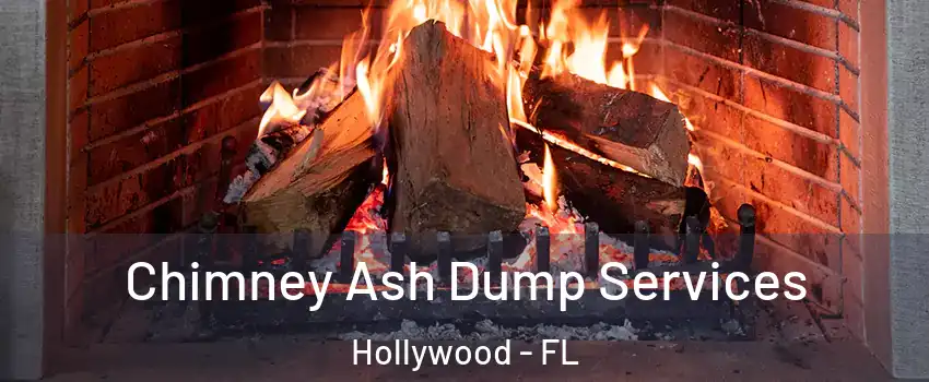  Chimney Ash Dump Services Hollywood - FL
