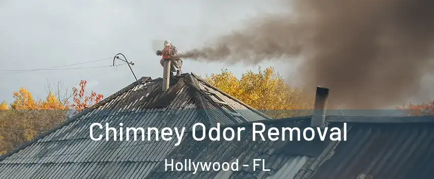  Chimney Odor Removal Hollywood - FL