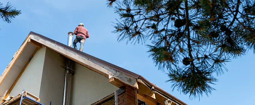 Birds Removal Contractors from Chimney in Hollywood, FL