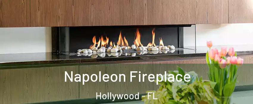  Napoleon Fireplace Hollywood - FL